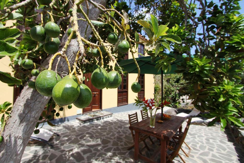 הרמיגואה Casa Rural Los Aromos - Wunderschones Landhaus Mit Meerblick מראה חיצוני תמונה